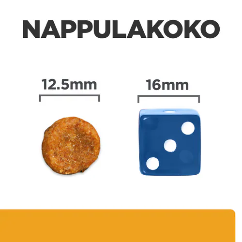 Pikkukuva 2