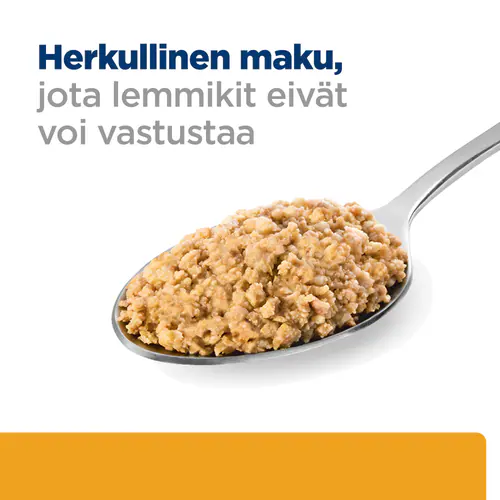 Pikkukuva 2