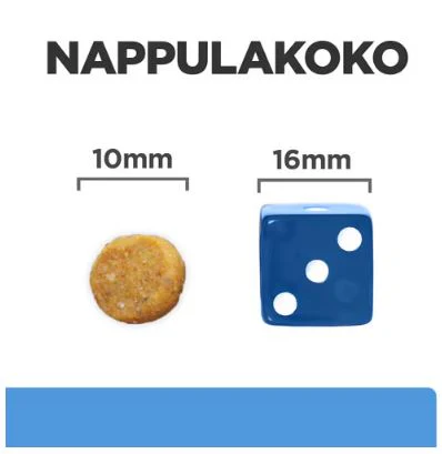 Pikkukuva 2