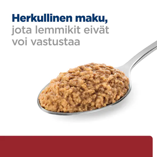 Pikkukuva 2