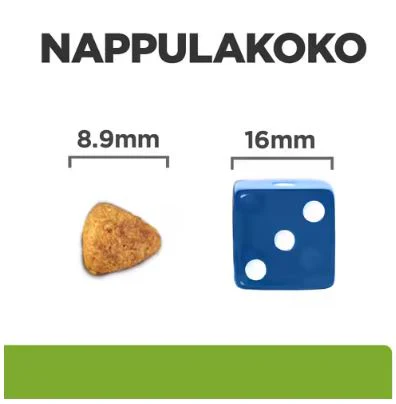 Pikkukuva 2