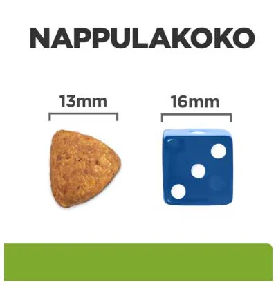 Pikkukuva 2