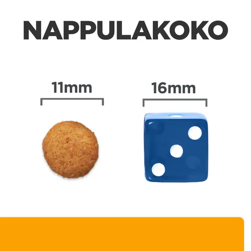 Pikkukuva 2