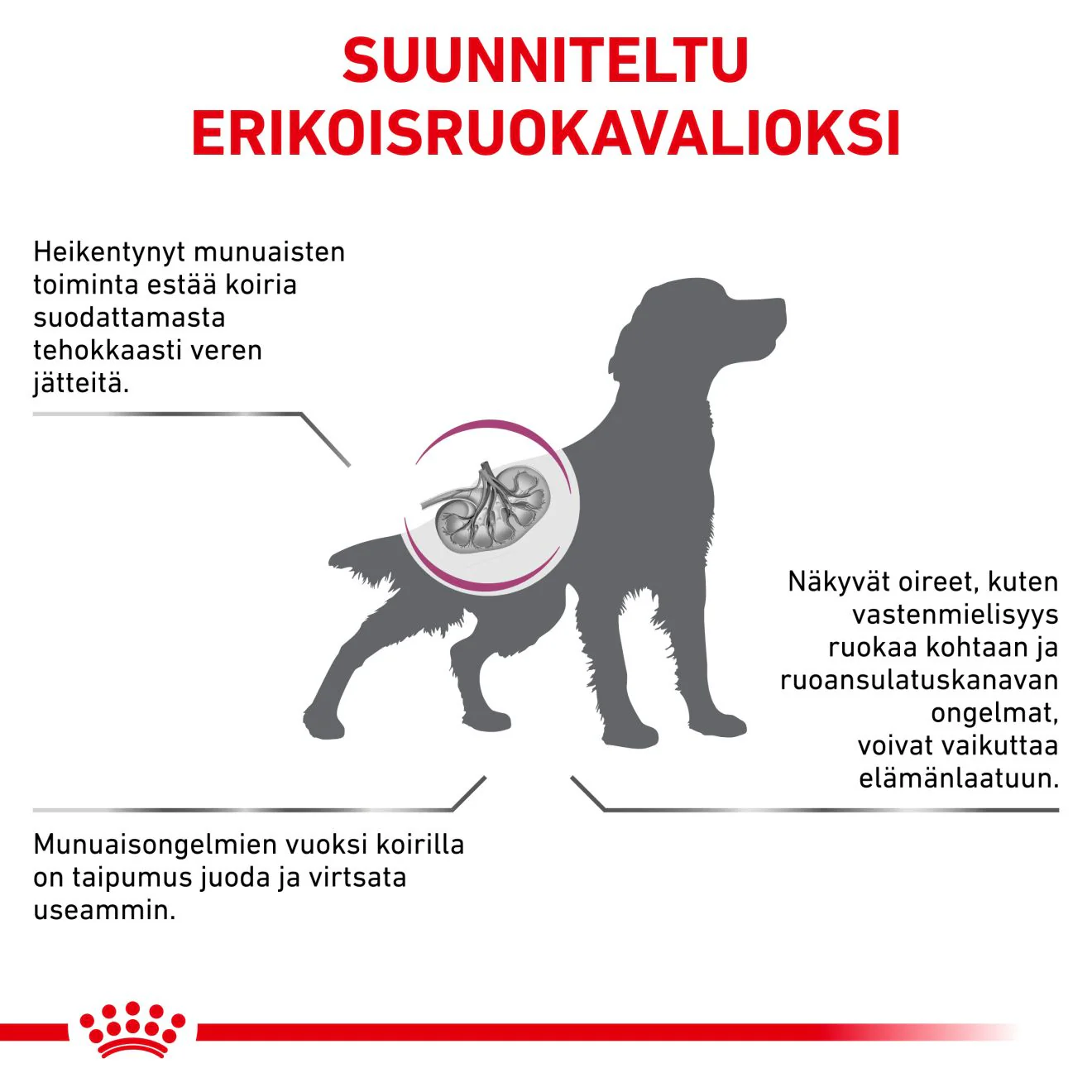 Pikkukuva 2